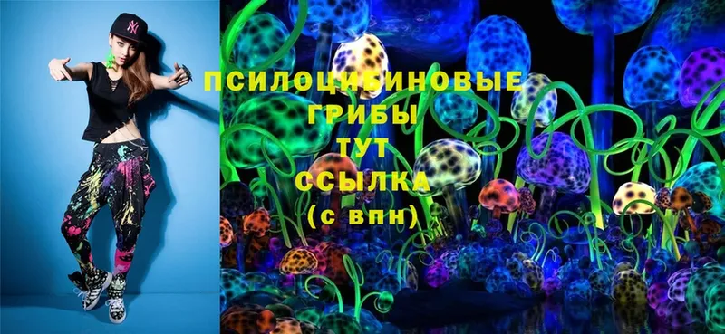 Галлюциногенные грибы Psilocybine cubensis  Берёзовка 